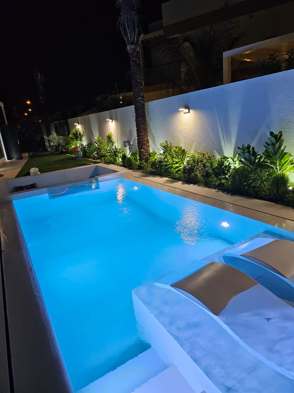 Glowing pool at night with surrounding garden and palm tree